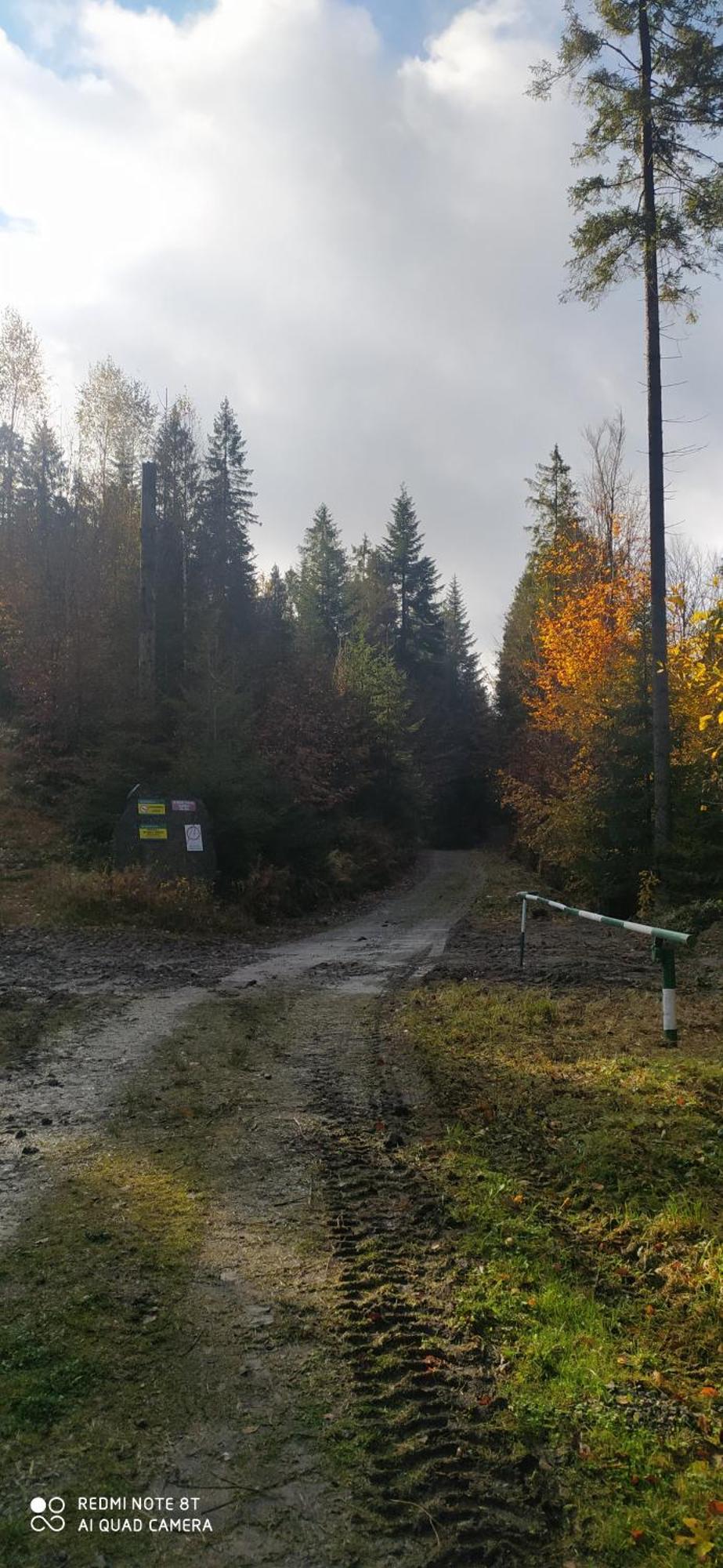 Villa Gorska W Parku Krajobrazowym Brenna